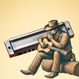 Harmonica Sim