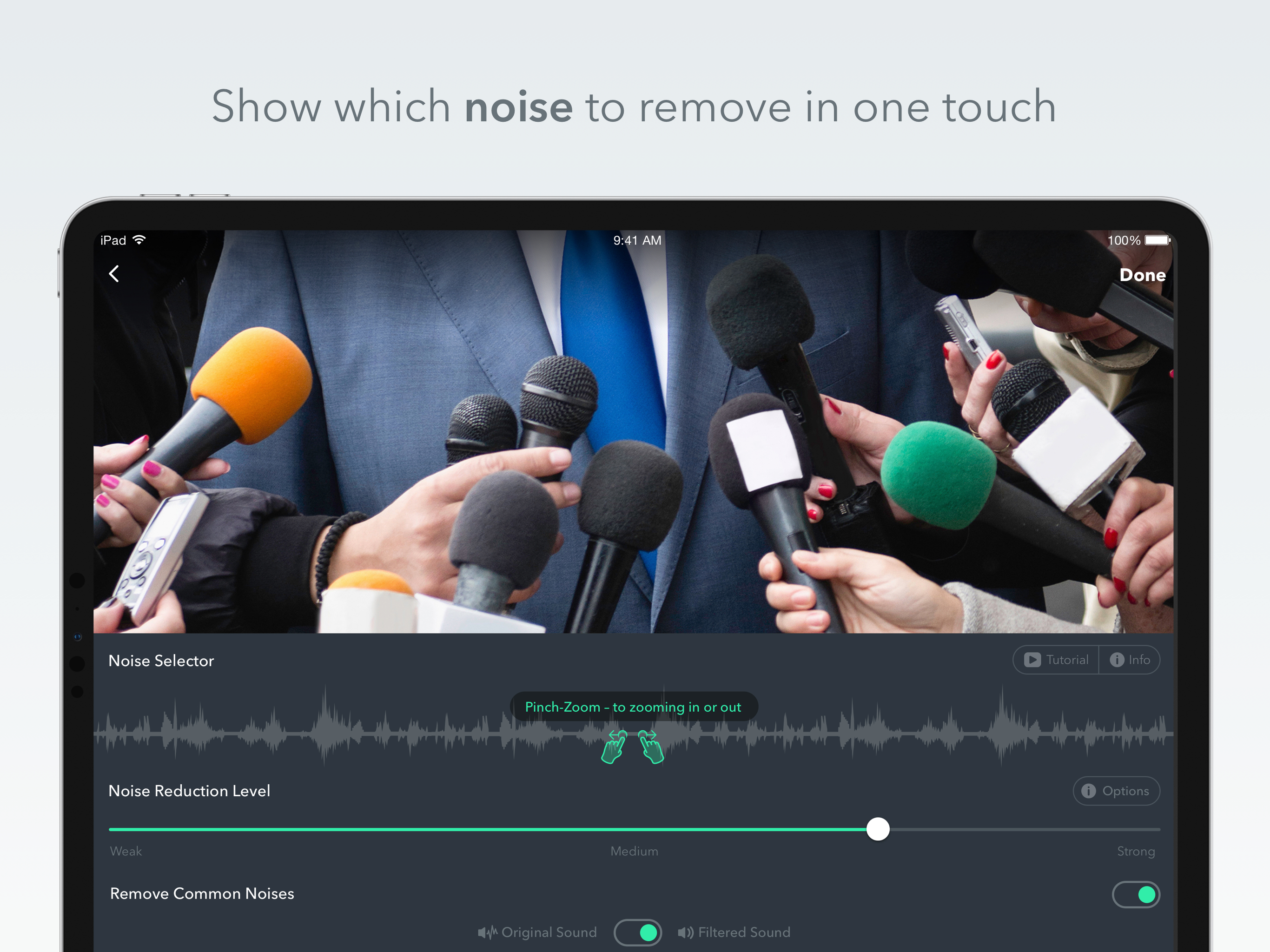 Denoise: AI Voice Cleanup