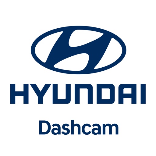 Hyundai India Dashcam2