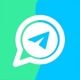 TeleTool: Dual WA Messenger app icon - Business app for iPhone