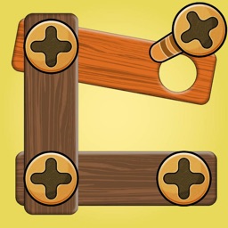 Wood Screw Pin Puzzle Game