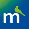 Momentum icon