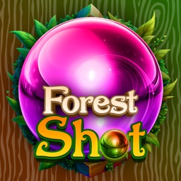 Forest Shot