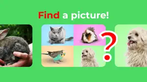 Flashcards. Animal sounds. ABC screenshot 3