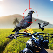 间谍鸽Bowhunting 3D