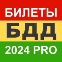 Билеты БДД 2024 Pro