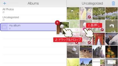 Easy Albums のスクリーンショット