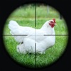 Chicken Shoot Safari Hunting icon