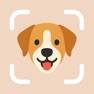 Get Dog Breed Identifier by DogPic for iOS, iPhone, iPad Aso Report