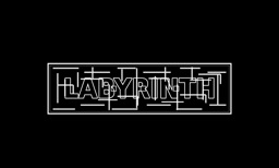 Labyrinth Pro