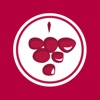Vinitor icon