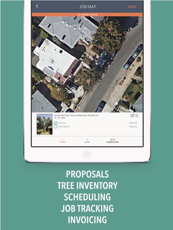 treezi iPad screenshot 3 - Business app