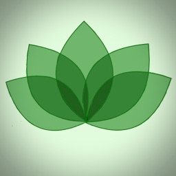 Mesaytara - AI Growth Coach