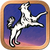 Fool’s Dog Tarot & Divination
