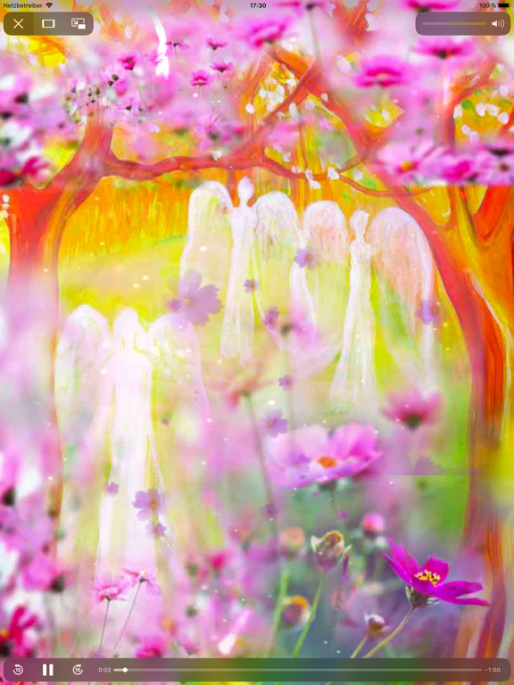 Screenshot #6 pour Seelenfreund