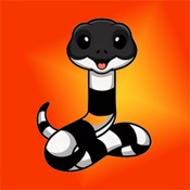 银环蛇-开始计划交易吧