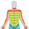 Get Dermatome Map and Tuning Fork for iOS, iPhone, iPad Aso Report