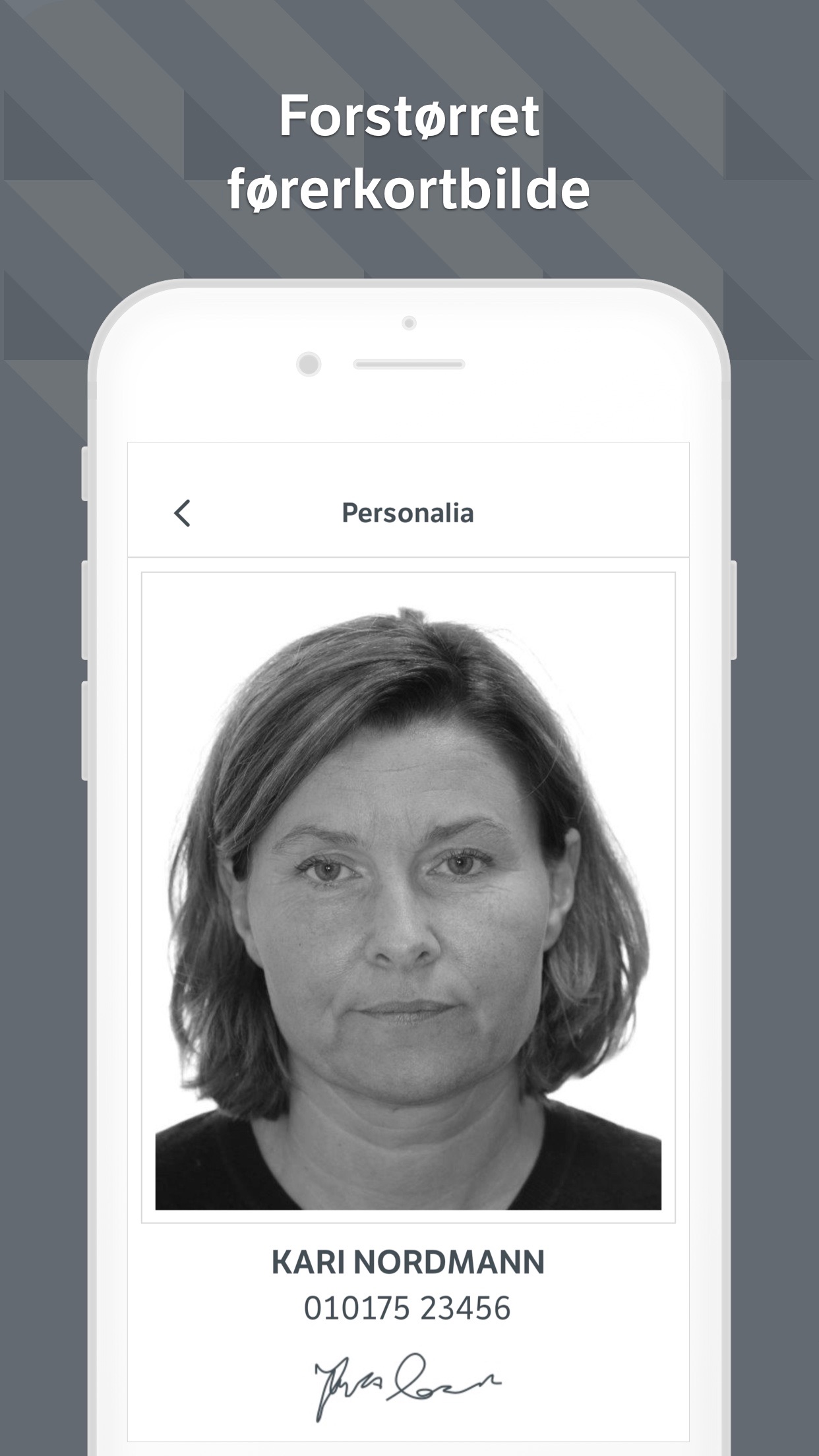 Screenshot 3 of Førerkort