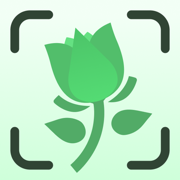 Plant Identifier - Plants Care