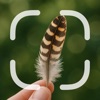 Identifier: Feather icon