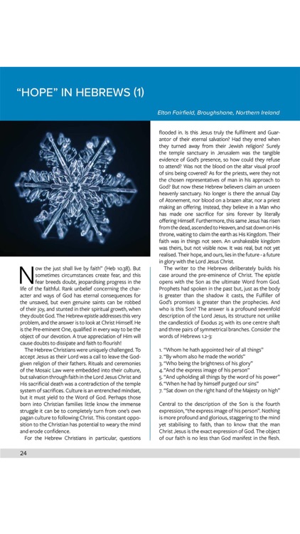 Believer Magazine screenshot-6