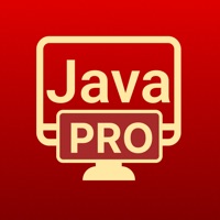 Learn Java Programming Pro