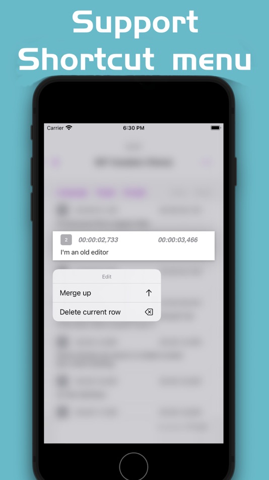 #5. SRT Translator (macOS) By: 鹏 边