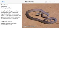 Animals of Kruger iPad image 3