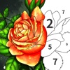 Art Number Coloring Book icon