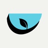 Blue Bowl icon