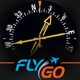 ADF + RMI Trainer – IFR Pilot
