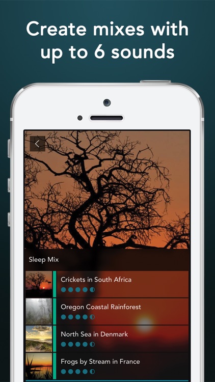 Soothing Sleep Sounds