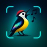 Get Bird Sound Identifier AI for iOS, iPhone, iPad Aso Report