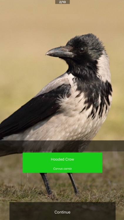 BirdID Nord University screenshot-3