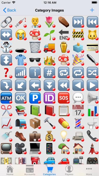 MoneyBelt screenshot-7