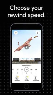 reverse vid: video reverser iphone screenshot 4