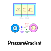 PressureGradient