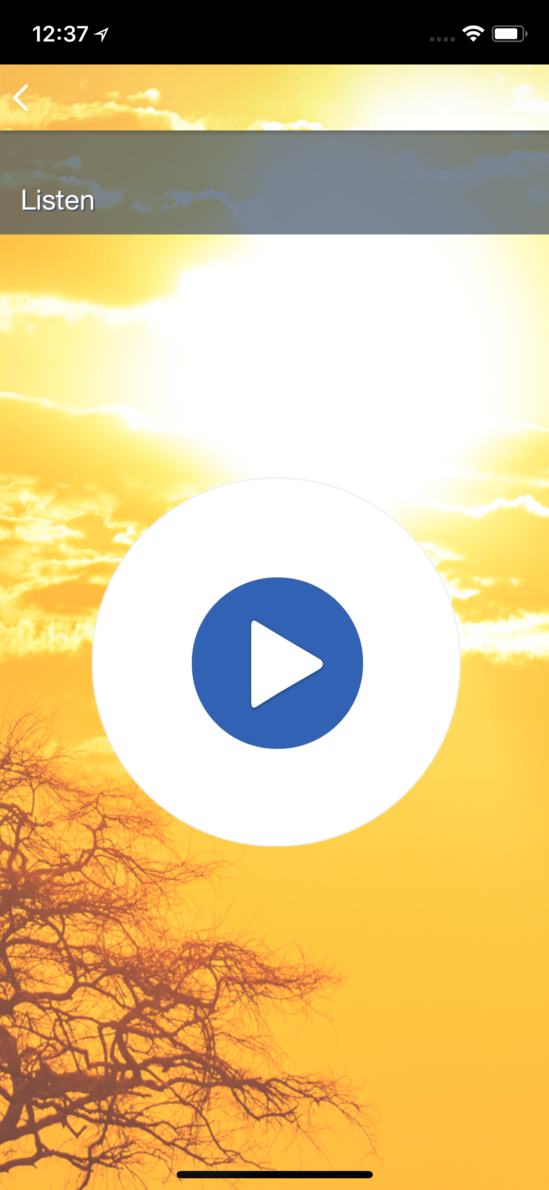 Radio Africa Network screenshot 2