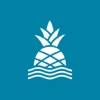 Chubbies Shorts icon