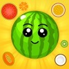 Merge Watermelon Game: Puzzle icon