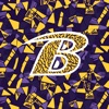 Bryan Golden Bears Basketball app icon - Education app for iPhone
