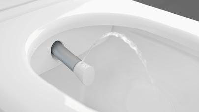 ViClean Screenshot