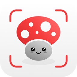 AI Mushroom Identifier App