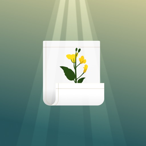 Christian Journal - Testimony