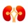 Stone MD: Kidney stones
