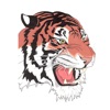 Mansfield City Schools Tygers icon