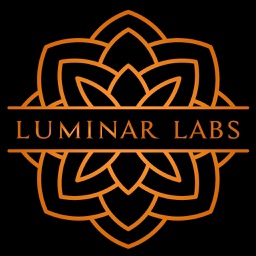 Luminar Remote