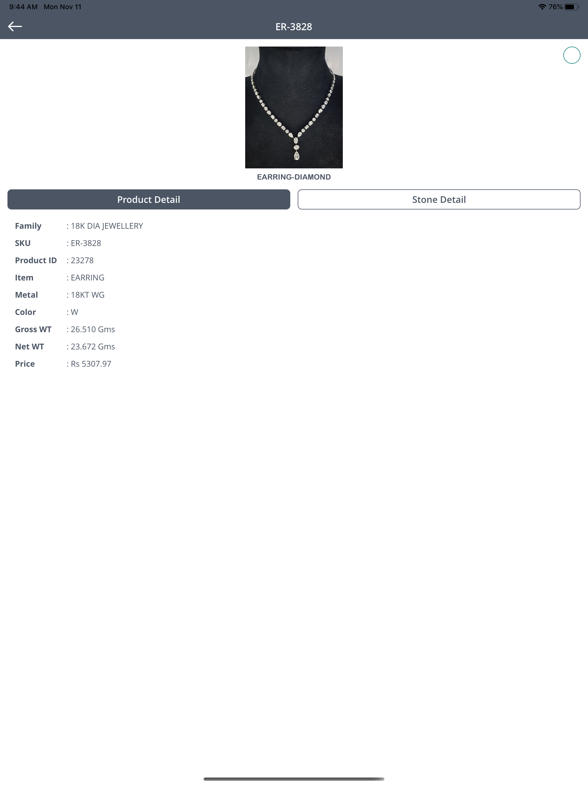 Digicat-Jewellery IT