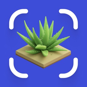 Succulent Identifier & Scan