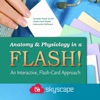 Anatomy Physiology Flash Cards icon